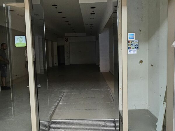 studio preliminare shopville le gru